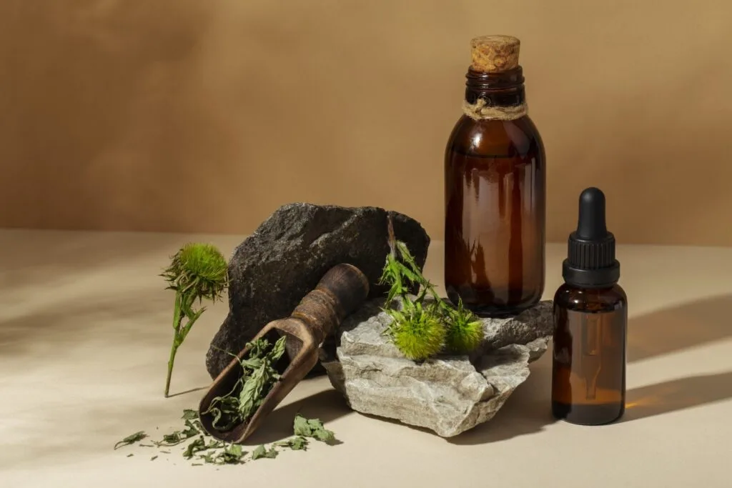 Direct Preventive Care Best Herbs For Immune System Content Image 1661