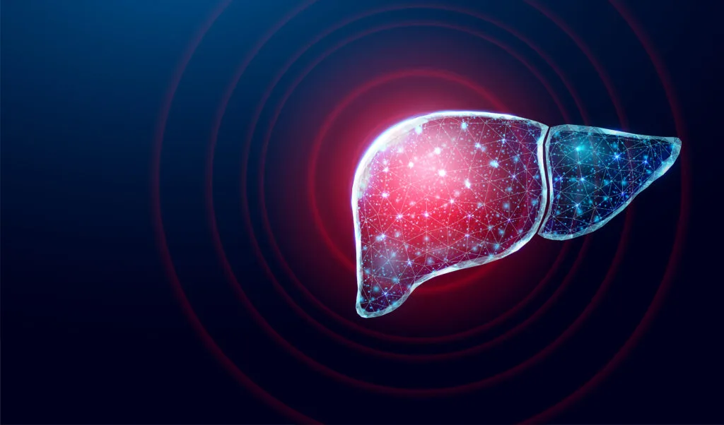 Direct Preventive Care Liver Health Formula Content Image 1705
