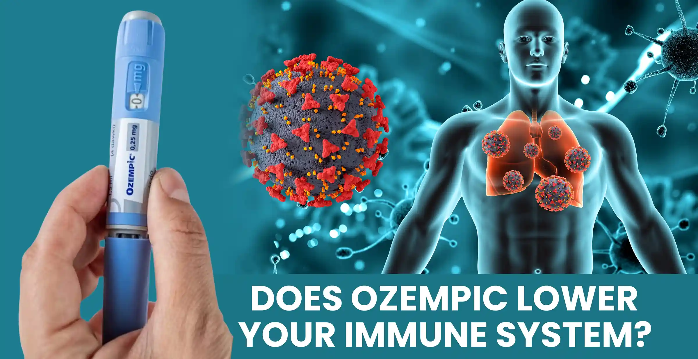 Direct Preventive Care The Ultimate Liver Health Formula featured image